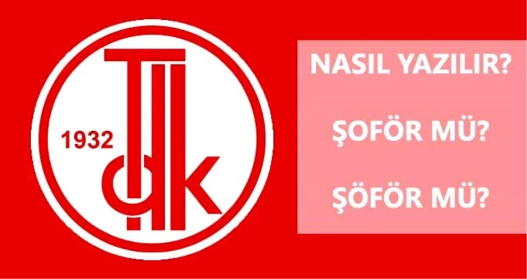 Şoför mü Şöför mü