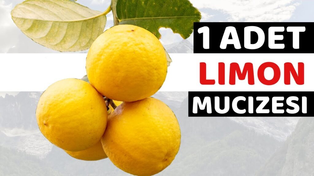 Limon Hangi Organa İyi Gelir?