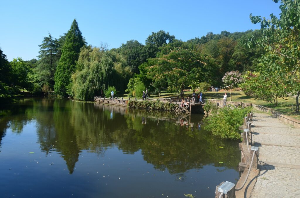 Atatürk Arboretumu